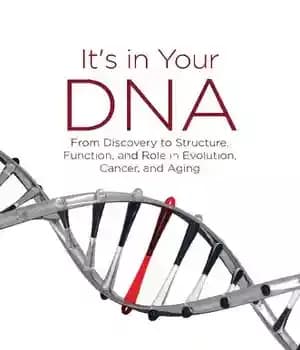 دانلود کتاب It’s in Your DNA: From Discovery to Structure, Function and Role in Evolution, Cancer and Aging – این…