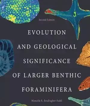 دانلود کتاب Evolution and Geological Significance of Larger Benthic Foraminifera – تکامل و اهمیت زمین شناسی روزن داران بزرگتر کفزی