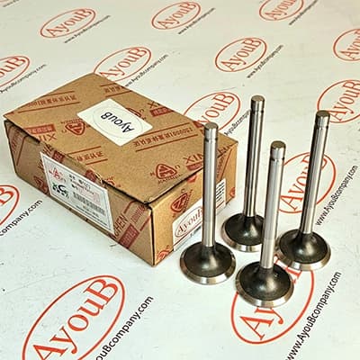 سوپاپ ون هایس (2200cc) دود و هوا XINCHEN اورجینال