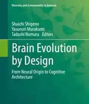 دانلود کتاب Brain Evolution by Design: From Neural Origin to Cognitive Architecture – تکامل مغز با طراحی: از خاستگاه عصبی…