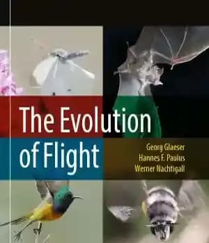 دانلود کتاب The Evolution of Flight – تکامل پرواز
