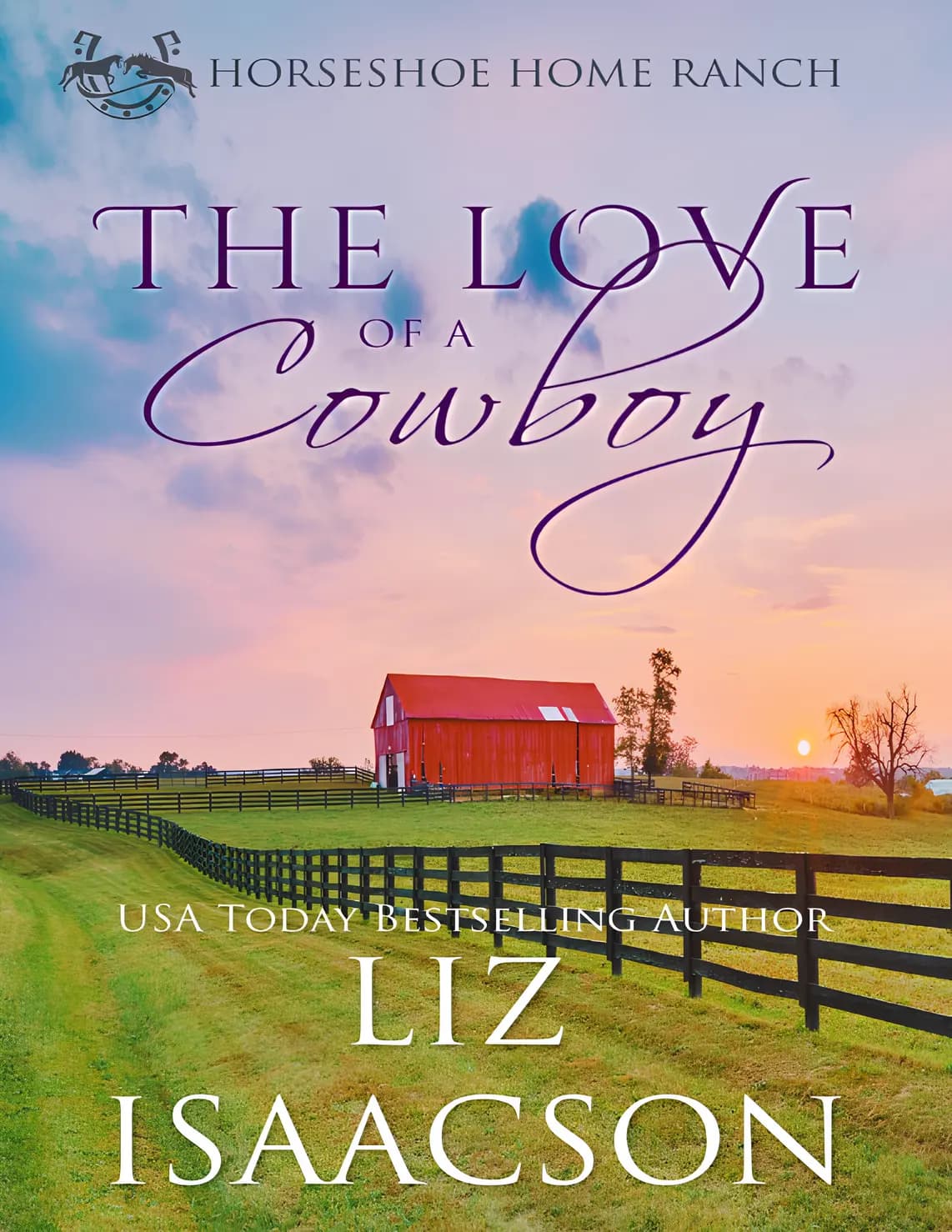 کتاب عشق یک کابوی (The Love of a Cowboy) نسخه انگلیسی PDF | لیز آیزاکسون
