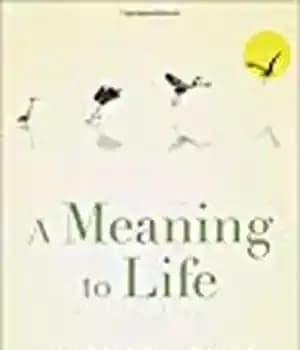 دانلود کتاب A Meaning to Life – معنایی برای زندگی