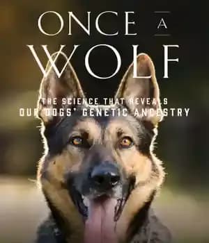 دانلود کتاب ONCE A WOLF: the science that reveals our dogs? genetic ancestry – یک بار گرگ: علمی که سگهای…
