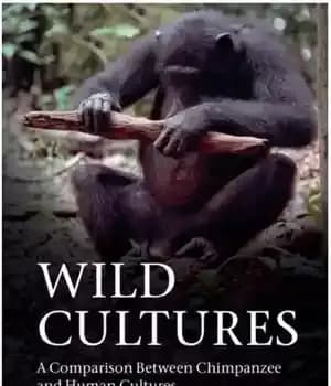 دانلود کتاب Wild Cultures: A Comparison between Chimpanzee and Human Cultures – فرهنگ های وحشی: مقایسه ای بین فرهنگ شامپانزه…