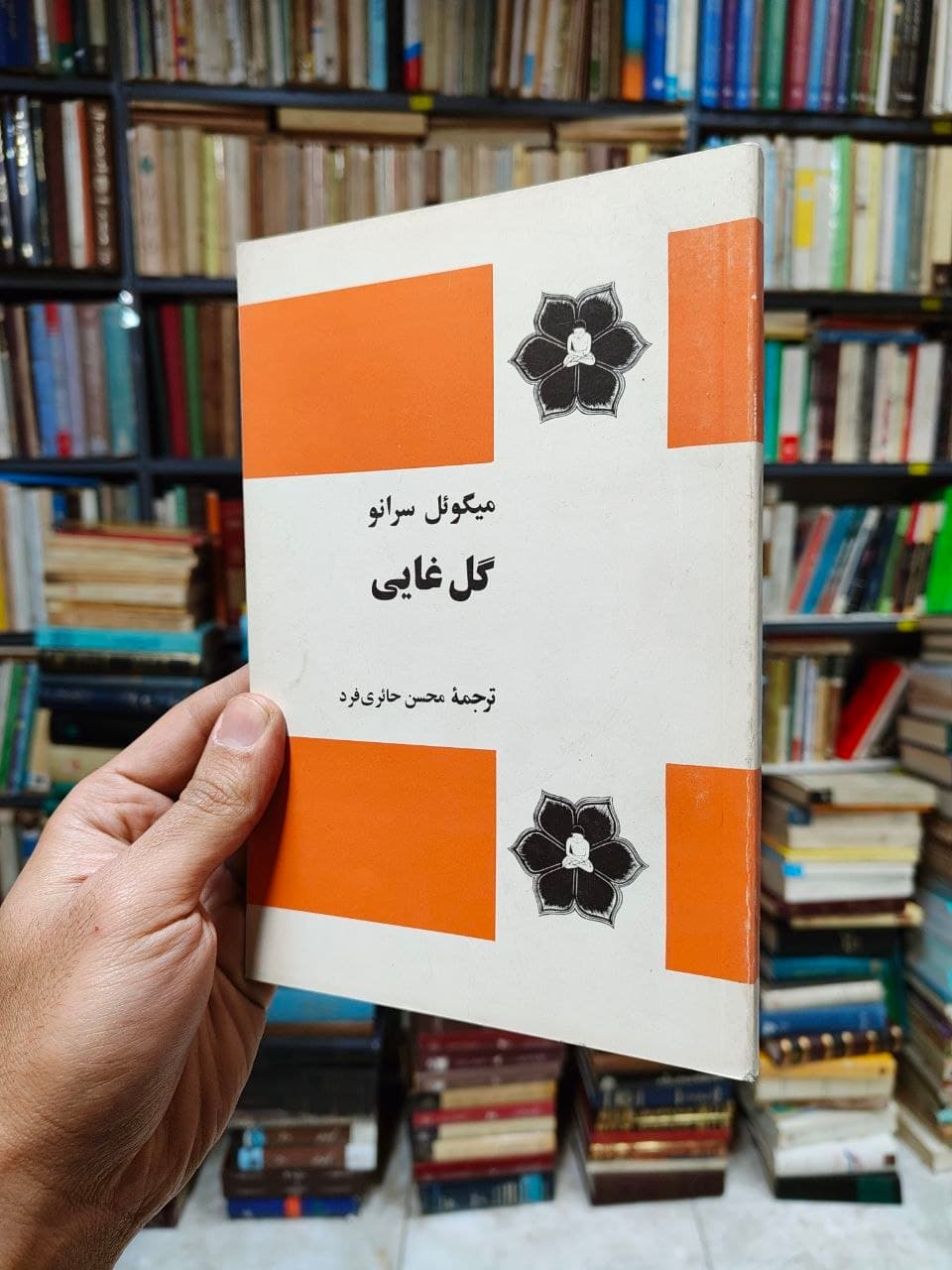 گل غایی