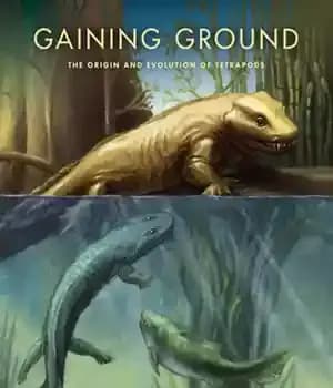 دانلود کتاب Gaining ground: the origin and evolution of tetrapods – به دست آوردن زمین: پیدایش و تکامل چهارپایان
