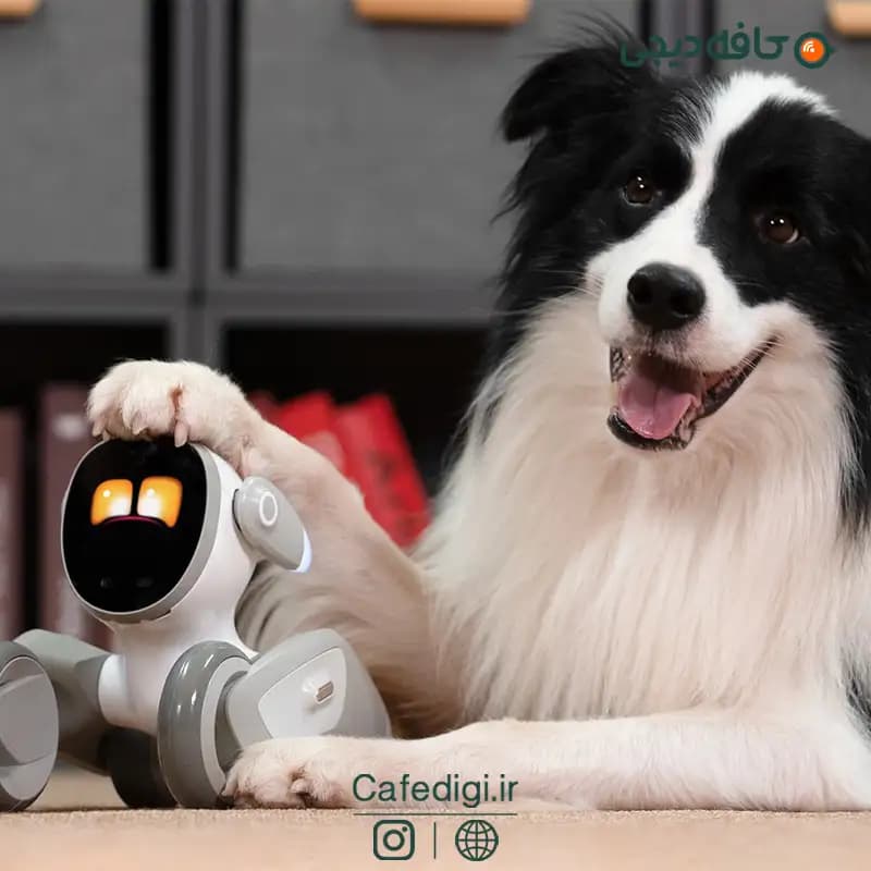 ربات هوشمند لونا پریمیوم Loona Smart Robot Premium — تصویر ۴