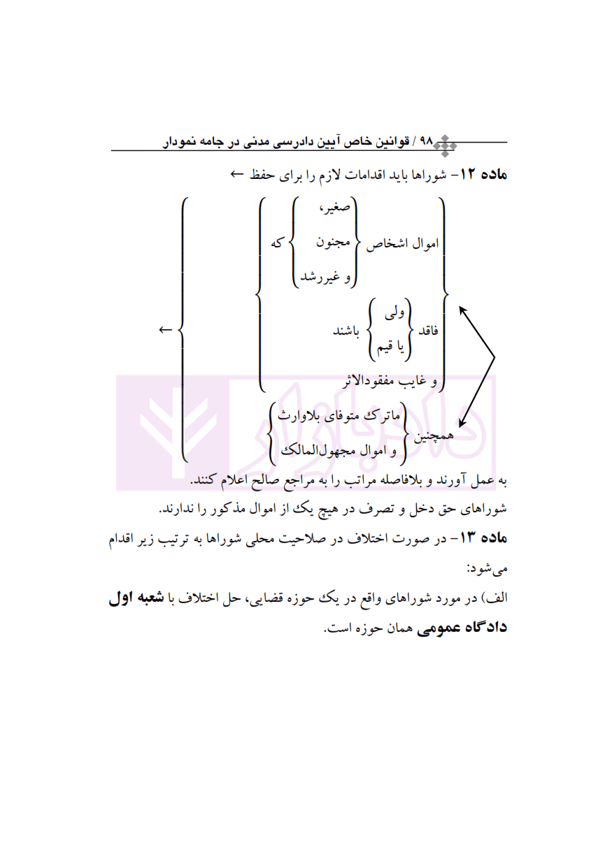 قوانین خاص آیین دادرسی مدنی در جامه نموداری (سیمی) | رئیسی نافچی — تصویر ۴