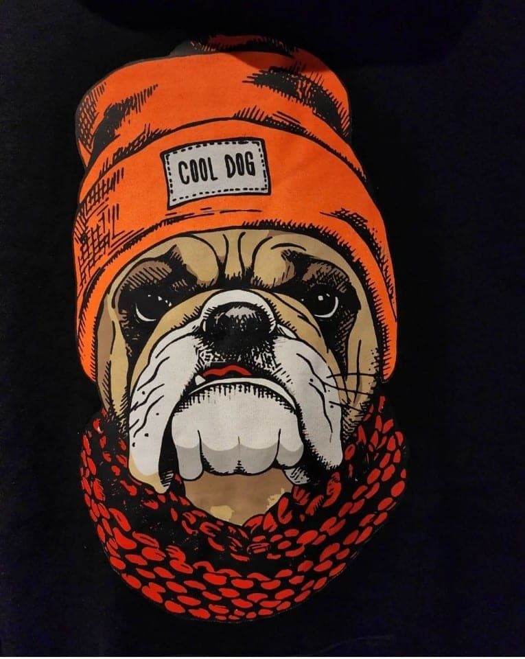 هودی سوپرسایز cooldog کد133 — تصویر ۳