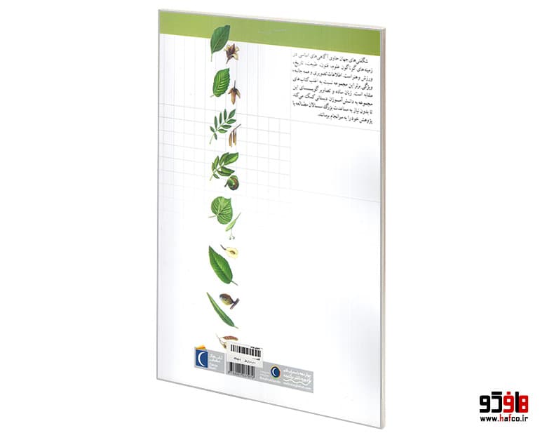 کتاب شگفتی های جهان؛ درخت ها نشر محراب قلم — تصویر ۲
