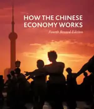 دانلود کتاب How the Chinese Economy Works – اقتصاد چین چگونه کار می کند