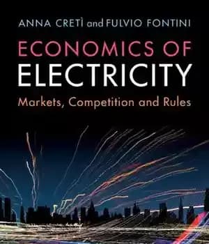 دانلود کتاب Economics of Electricity: Markets, Competition and Rules – اقتصاد برق: بازارها، رقابت و قوانین