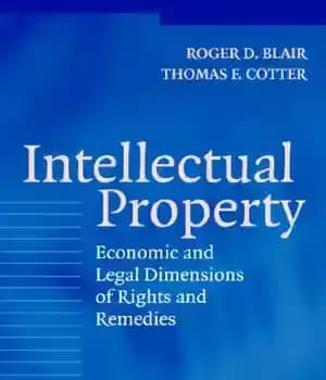 دانلود کتاب Intellectual Property: Economic And Legal Dimensions Of Rights And Remedies – مالکیت معنوی: ابعاد اقتصادی و حقوقی حقوق…