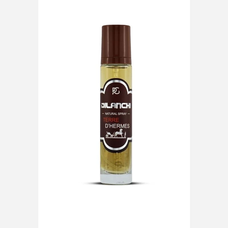 عطر قلمی مردانه دیلانچی رایحه تق هرمس حجم 30 میلی لیتر