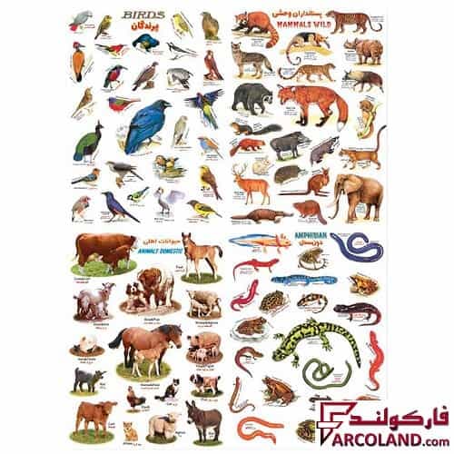 برچسب آموزشی مدل حیوانات