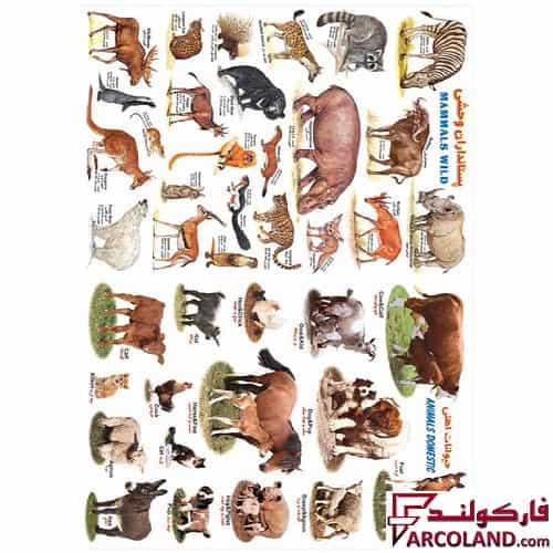 برچسب آموزشی مدل حیوانات اهلی و حیوانات وحشی