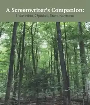 دانلود کتاب A Screenwriter’s Companion: Instruction, Opinion, Encouragement – همراه یک فیلمنامه نویس: آموزش، نظر، تشویق