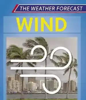 دانلود کتاب Wind – باد