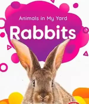 دانلود کتاب Rabbits – خرگوش ها