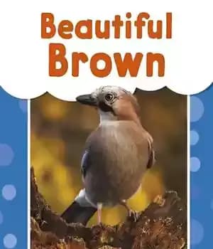 دانلود کتاب Beautiful Brown – قهوه ای زیبا