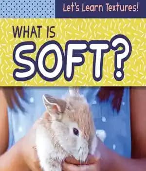 دانلود کتاب What Is Soft? – نرم چیست؟