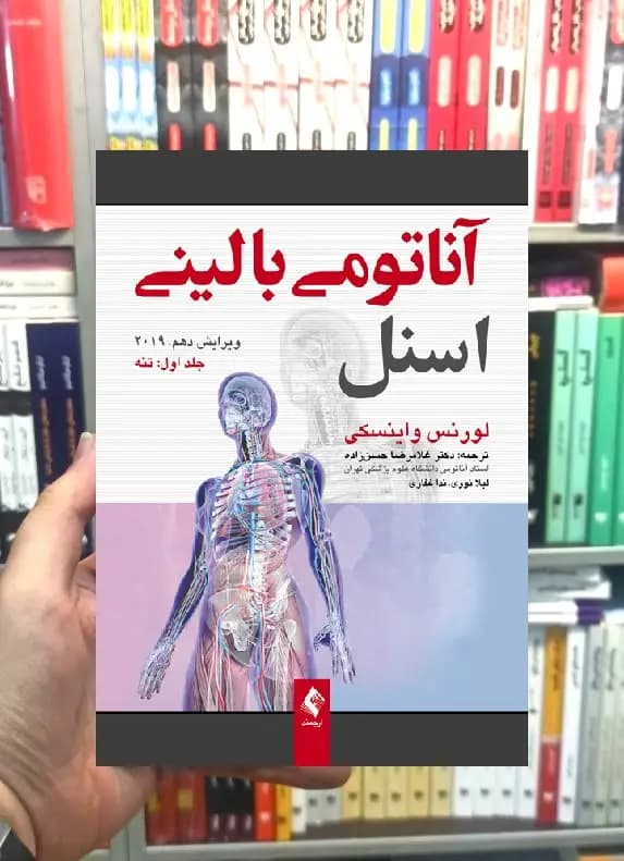 آناتومی بالینی اسنل 2019 جلد اول تنه ارجمند — تصویر ۲