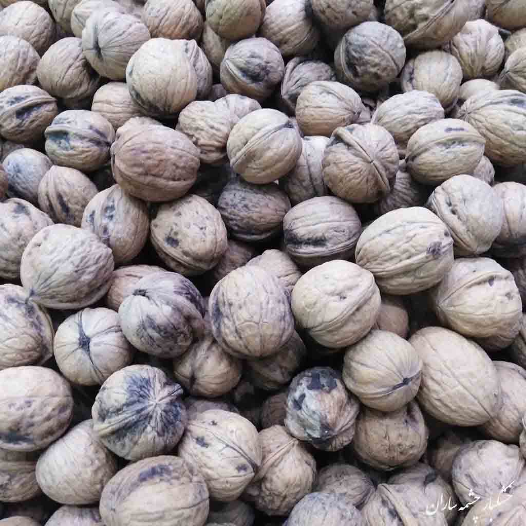 گردو خوانسار — تصویر ۲