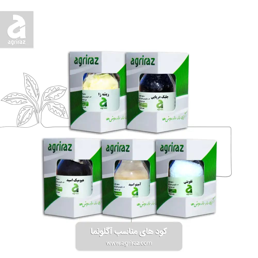 کود مناسب گیاه آگلونما