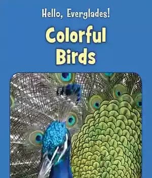 دانلود کتاب Colorful Birds – پرندگان رنگارنگ