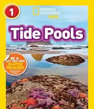 دانلود کتاب National Geographic Readers: Tide Pools (L1) – خوانندگان نشنال جئوگرافیک: استخرهای جزر و مد (L1)