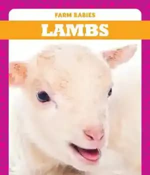 دانلود کتاب Lambs – بره ها