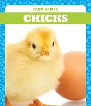 دانلود کتاب Chicks – جوجه ها