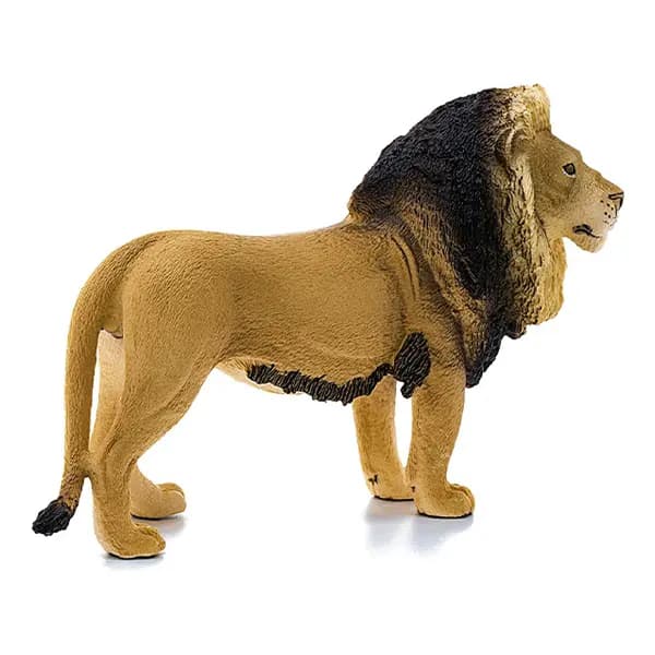 شیر اشلایش Schleich — تصویر ۴