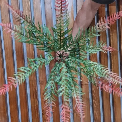 بوته گل مصنوعی سرخس ژله ایی دورنگ