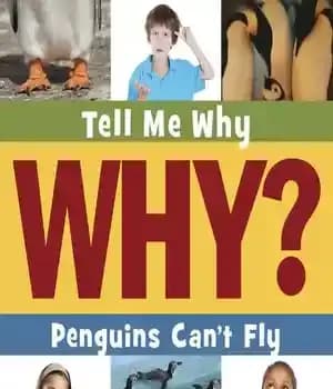 دانلود کتاب Penguins Can’t Fly – پنگوئن ها نمی توانند پرواز کنند