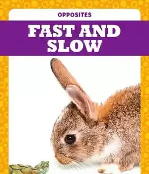 دانلود کتاب Fast and Slow – سریع و آهسته