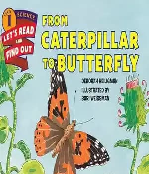 دانلود کتاب From Caterpillar to Butterfly – از کاترپیلار تا پروانه