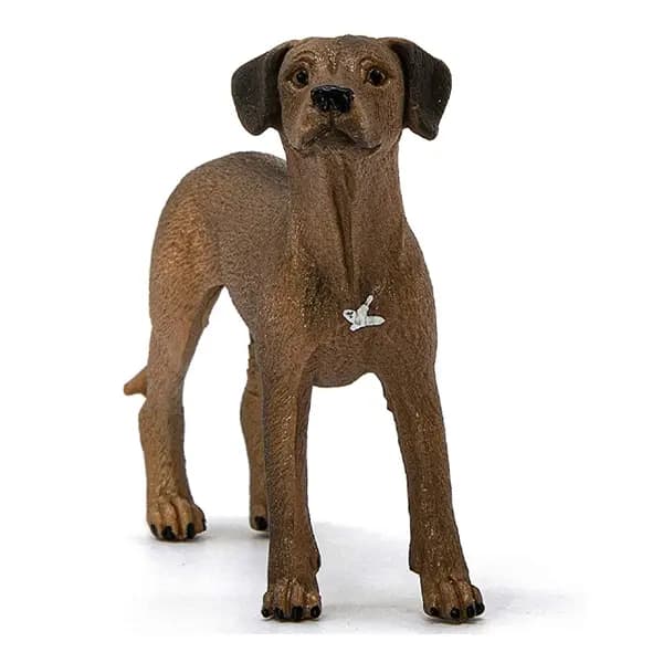 سگ رودسین ریجبک اشلایش Schleich — تصویر ۳