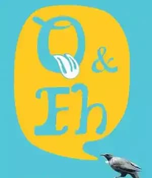 دانلود کتاب Q & Eh: Questions and Answers on Language with a Kiwi Twist – پرسش و پاسخ: پرسش و…