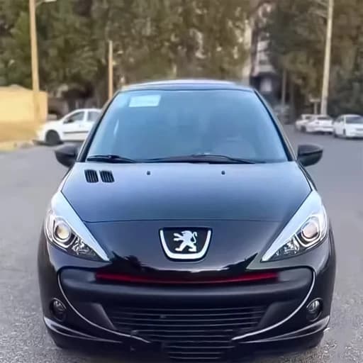 ردلاین سپر پژو207