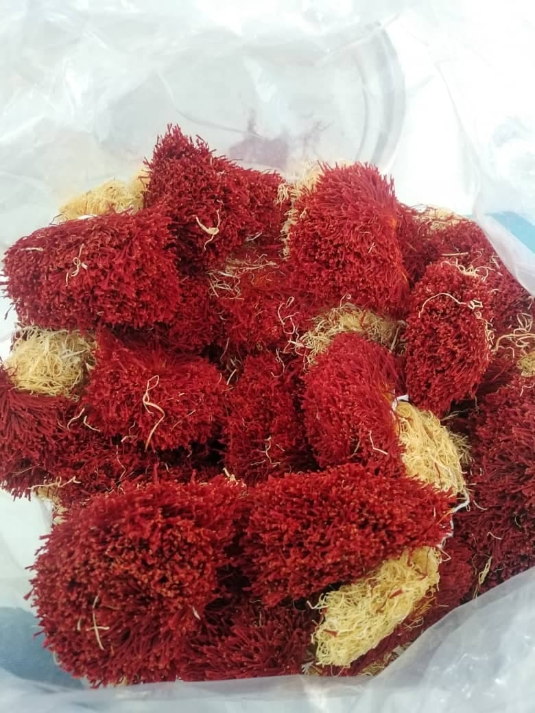 زعفران دسته دخترپیچ ۵۰۰ گرم — تصویر ۳