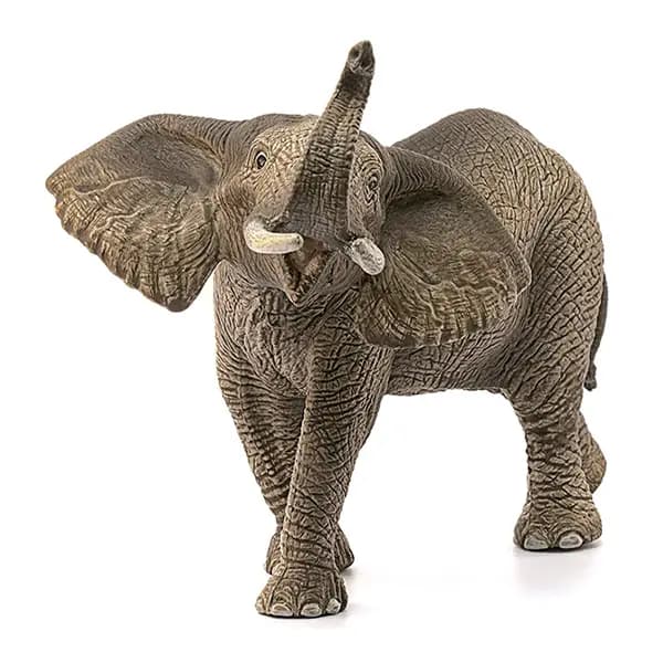 فیل آفریقایی نر اشلایش Schleich
