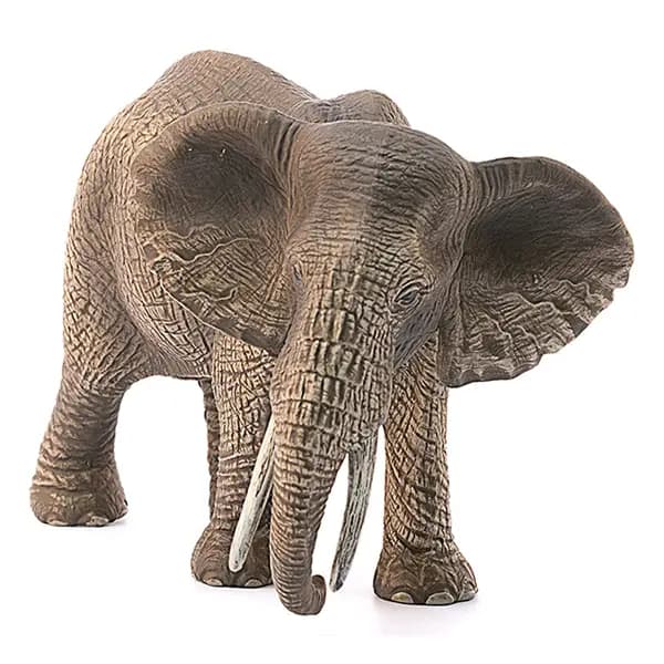 فیل آفریقایی ماده اشلایش Schleich — تصویر ۴