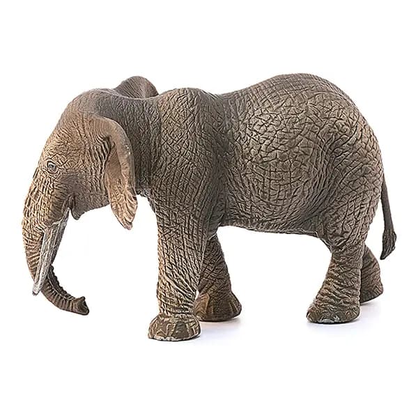 فیل آفریقایی ماده اشلایش Schleich — تصویر ۲