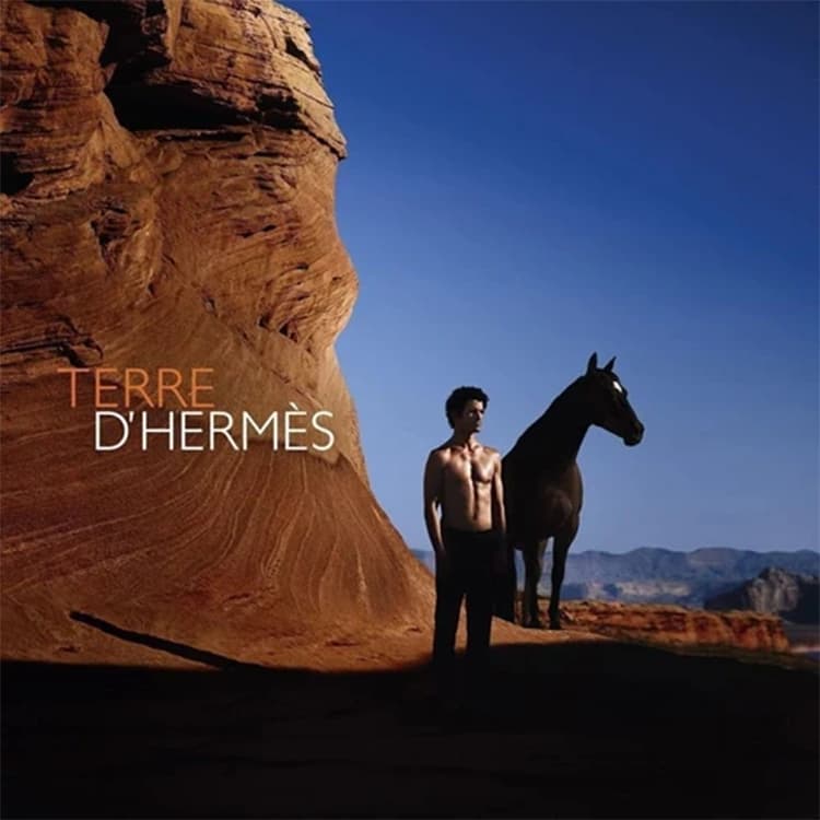 ادوتویلت مردانه HERMES Terre d Hermes — تصویر ۶