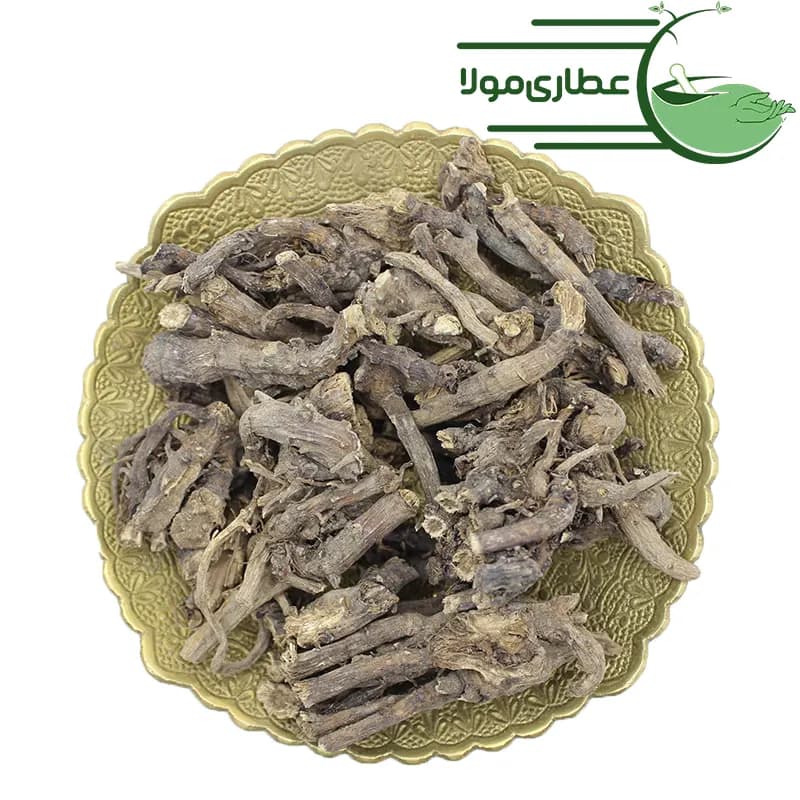 ریشه اکیناسه — تصویر ۲