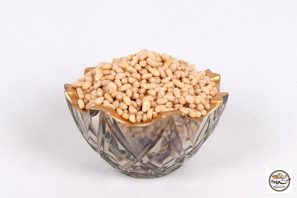 سویا آجیلی 100 گرم