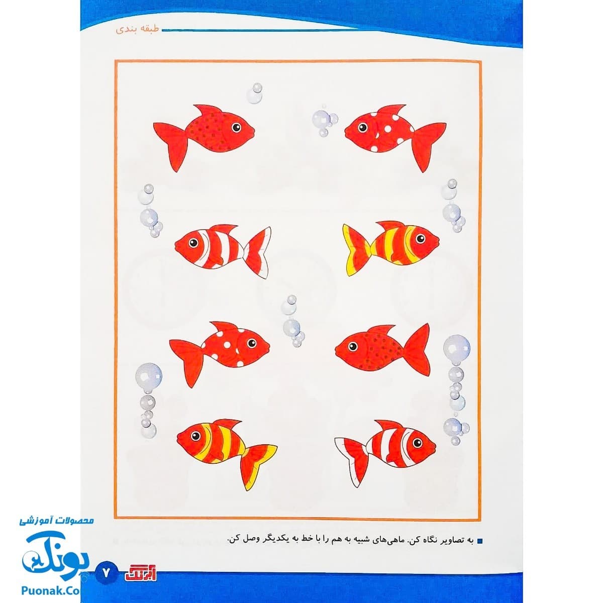 کتاب مفاهیم ریاضی ۲ شباهت ها و تفاوت ها آبرنگ — تصویر ۴