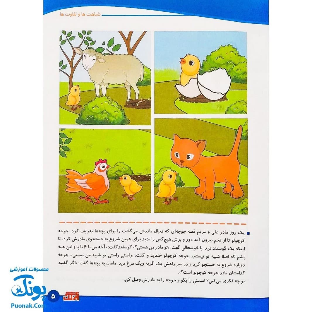 کتاب مفاهیم ریاضی ۲ شباهت ها و تفاوت ها آبرنگ — تصویر ۳